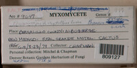 Image Associated With the Occurence